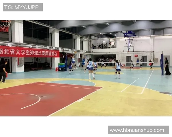 武汉排球队实力解析与发展前景探讨聚焦排球运动的未来之路