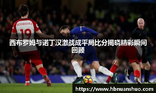 西布罗姆与诺丁汉激战成平局比分揭晓精彩瞬间回顾